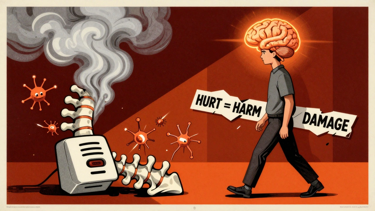 Pain Neuroscience Education: How Understanding Pain Can Change Your Experience
